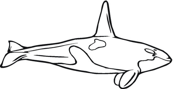21 Best Whales Coloring Pages for Kids Updated 2018