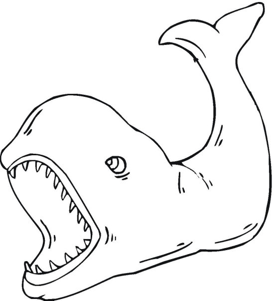 Download 21 Best Whales Coloring Pages for Kids - Updated 2018