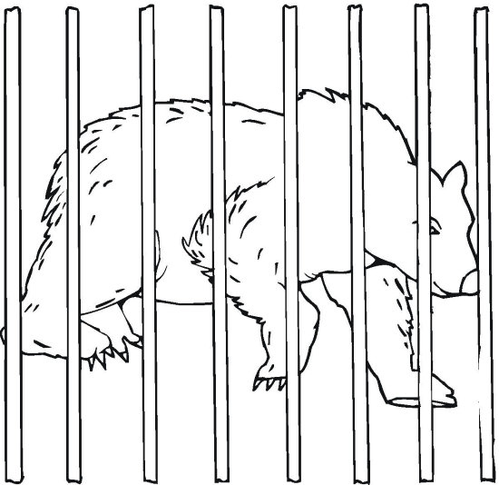 11 Best Zoo Coloring Pages for Kids - Updated 2018