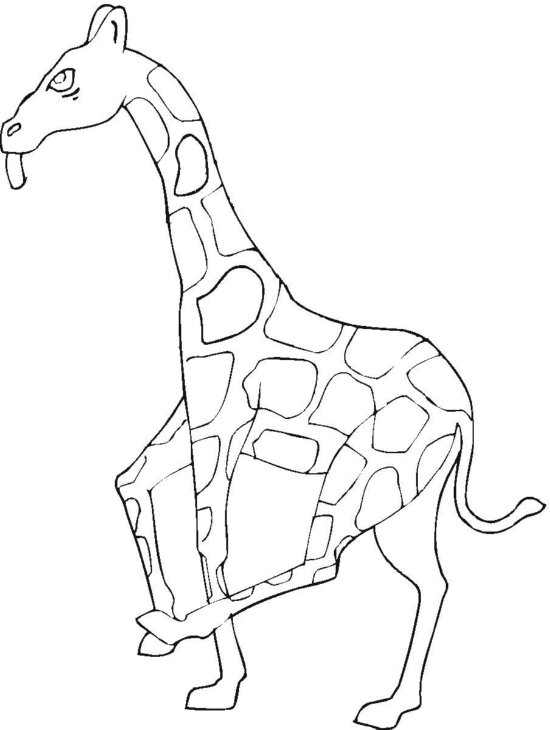 11 Best Zoo Coloring Pages for Kids - Updated 2018